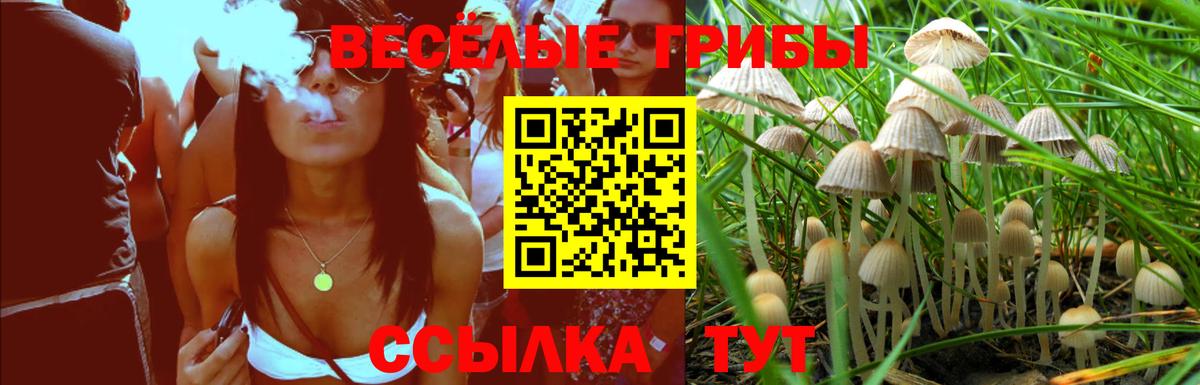 Псилоцибиновые грибы Magic Shrooms  Вход с VPN  цена   Балабаново 